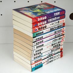 横溝美晶 新書 13冊 まとめて セット ツウィンカム野獣伝 アーバンユニコーンシリーズ等 小説 ノベルス 札幌市 清田区 平岡の画像