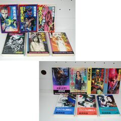 横溝美晶 新書 13冊 まとめて セット ツウィンカム野獣伝 ア...