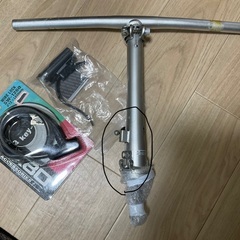 9月26日終了 希少 ダホン × エドウィン コラボモデル ボードウォーク 20インチ 折りたたみ自転車の画像