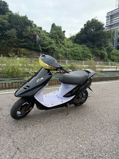 サボテン サボテン：エキノフォスロカクタス 縮玉（2玉） 2.5号鉢入り の