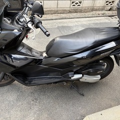 pcx125cc jf56 BLACKの画像