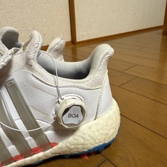 ゴルフシューズの画像