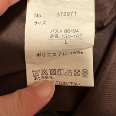 レディースチュニックの画像