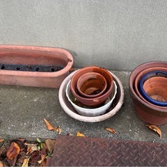 プランター／植木鉢　あげますの画像