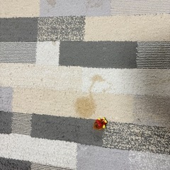 ラグの画像