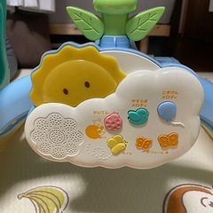 プーメリー　の画像