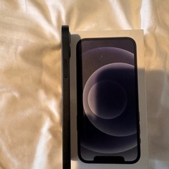 美品】iPhone 12 256GB（SIMフリー）バッテリー84%の画像
