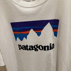 パタゴニア Patagonia tシャツ めんずメンズの画像