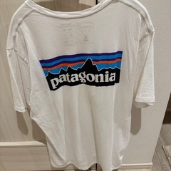 パタゴニア Patagonia Tしシャツの画像