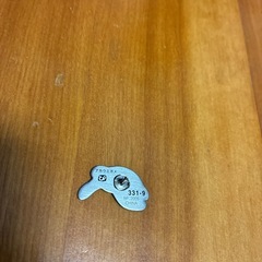 アカウミガメのピンブローチの画像