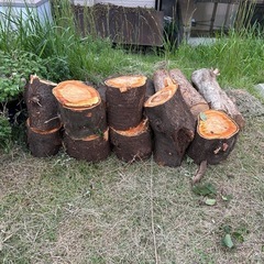 丸太無料　薪やインテリアにの画像