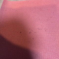 ヨガマットの画像