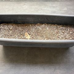 プランター差し上げますの画像