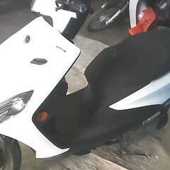 YAMAHA アクシス125Z 白 エンジン始動動画 自賠責保険で乗れます 半額配送キャンペーン 限定 現状渡し諸経費￥0- 横浜 P-Yardの画像