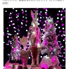 美品　クリスマスツリー　ホワイト　ピンクLED セット販売の画像