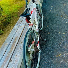 自転車「FELT 「フェルト」 F85」の画像