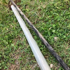透明ビニールシートとクワ　マルチ？の画像