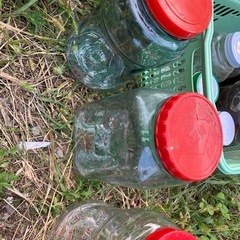漬物用のビン達大量セットの画像