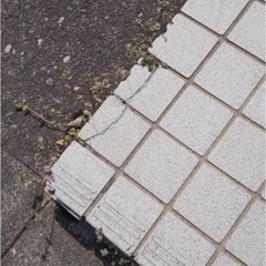 割れているタイル補修、交換できます！の画像