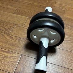 早いものがちですの画像