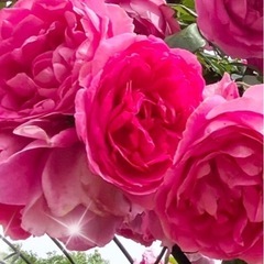 第11回　お話をする会