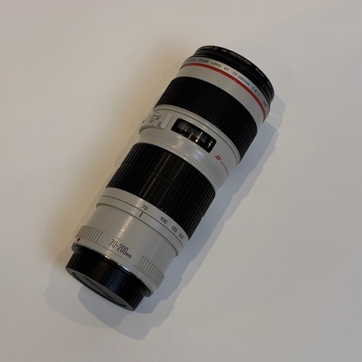 Canon EF 70-200mm f/4.0L