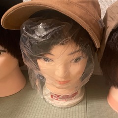 カットウィックの画像