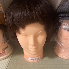 カットウィックの画像