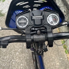 ブリヂストン　エクスプレスジュニア22（キッズサイクル、子ども用自転車）の画像