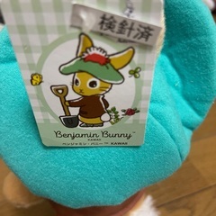 ベンジャミンバニーの画像