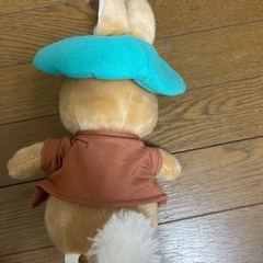 ベンジャミンバニーの画像