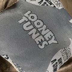 LOONEY TUNES✴︎クッションの画像