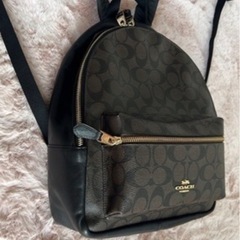 coachばっくバックの画像