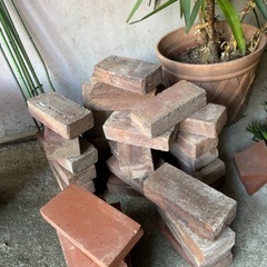 【譲ります】観葉植物、植木、ガーデニング用品の画像