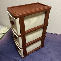 昔買った衣装ケースの画像