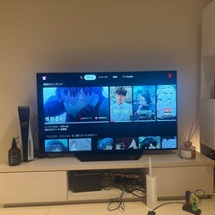 48インチ 有機EL テレビの画像