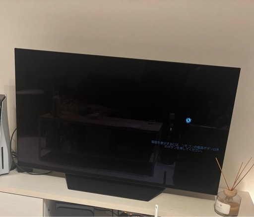 48インチ 有機EL テレビ