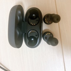 リンクバッズ s
の画像