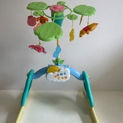 美品　プーメリーの画像