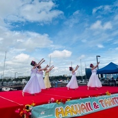 【Newクラス】2025年11月初開講🦋未経験・初心者向けフラダンスの画像