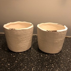 卓上サイズの鉢(2個セット)の画像