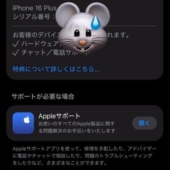 綺麗目なiPhone16Plusの画像