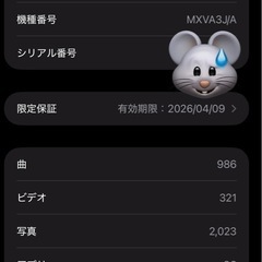 綺麗目なiPhone16Plusの画像