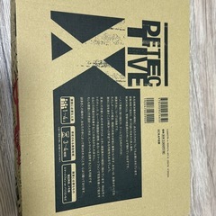 DETECTIVE X CASE FILE #1 御仏の殺人の画像