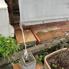 日よけ　シェード　オモリつきの画像