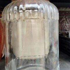 漬物壺、瓶の画像