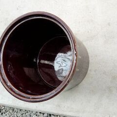 漬物壺、瓶の画像