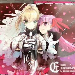 【未使用美品】Fate Extra CCC 初回限定版特典セイバーブライド&CDの画像