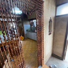 玉すだれの画像