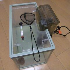 熱帯魚等用水槽(中古) と関連品の画像